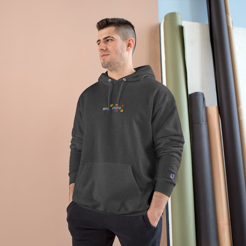 Ctrl champion online hoodie